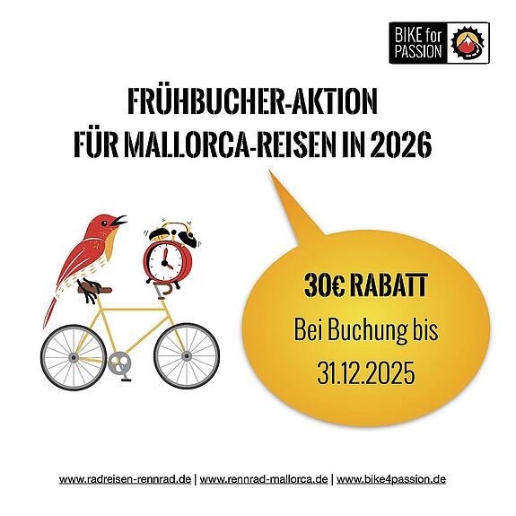 B4P_Störer_EarlyBirdMallorca.